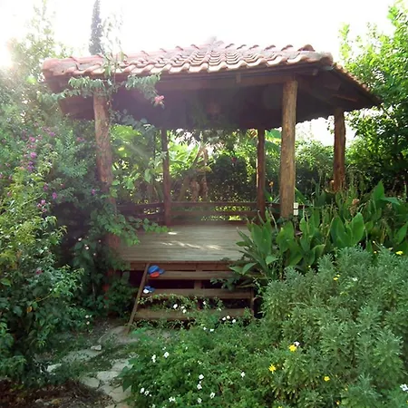 Fulya Dalyan